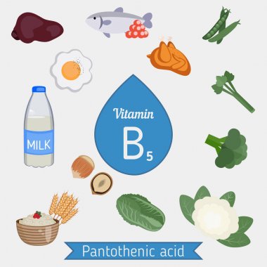 Pantotenik asit ya da Vitamin B5 Infographic