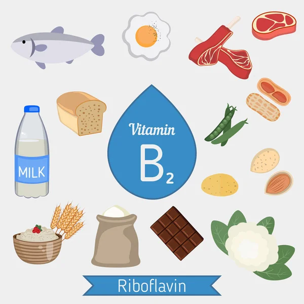 Infografic Vitamina B2 sau Riboflavina — Vector de stoc