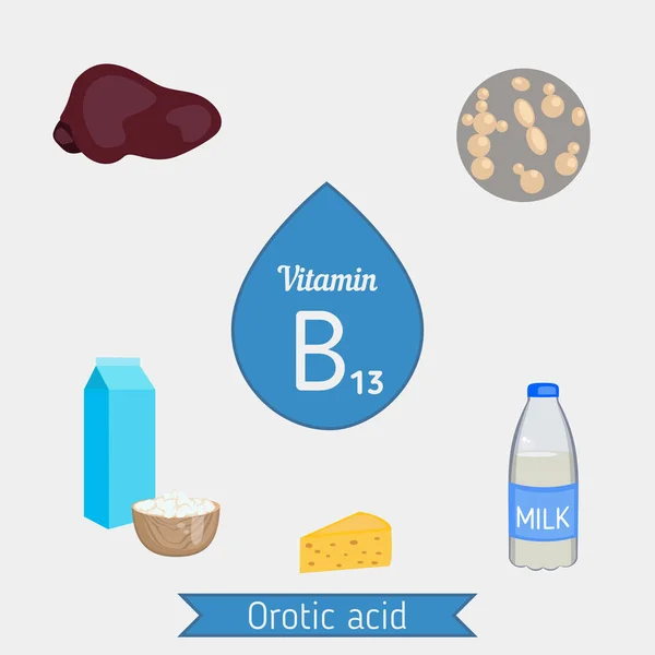 비타민 B13 또는 Orotic 산 infographic — 스톡 벡터