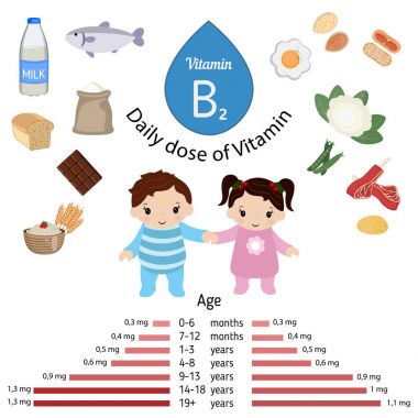 B2 vitamini veya Riboflavin Infographic