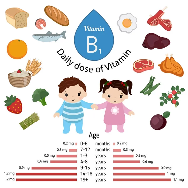 Infografía de vitamina B1 o tiamina — Vector de stock