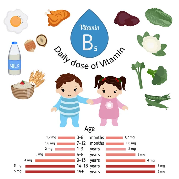Vitamin B5 pantoténsav, vagy infographic — Stock Vector
