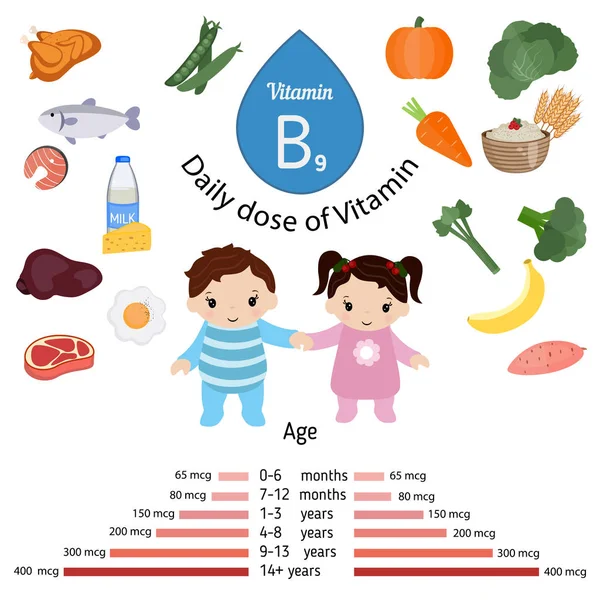 Vitamin B9 och folsyra infographic — Stock vektor