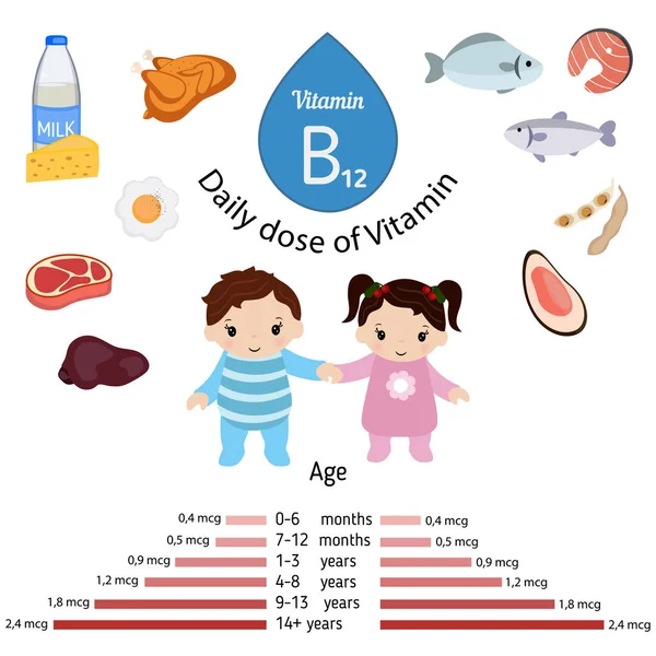 Infográfico de vitamina B12 ou cobalamina —  Vetores de Stock