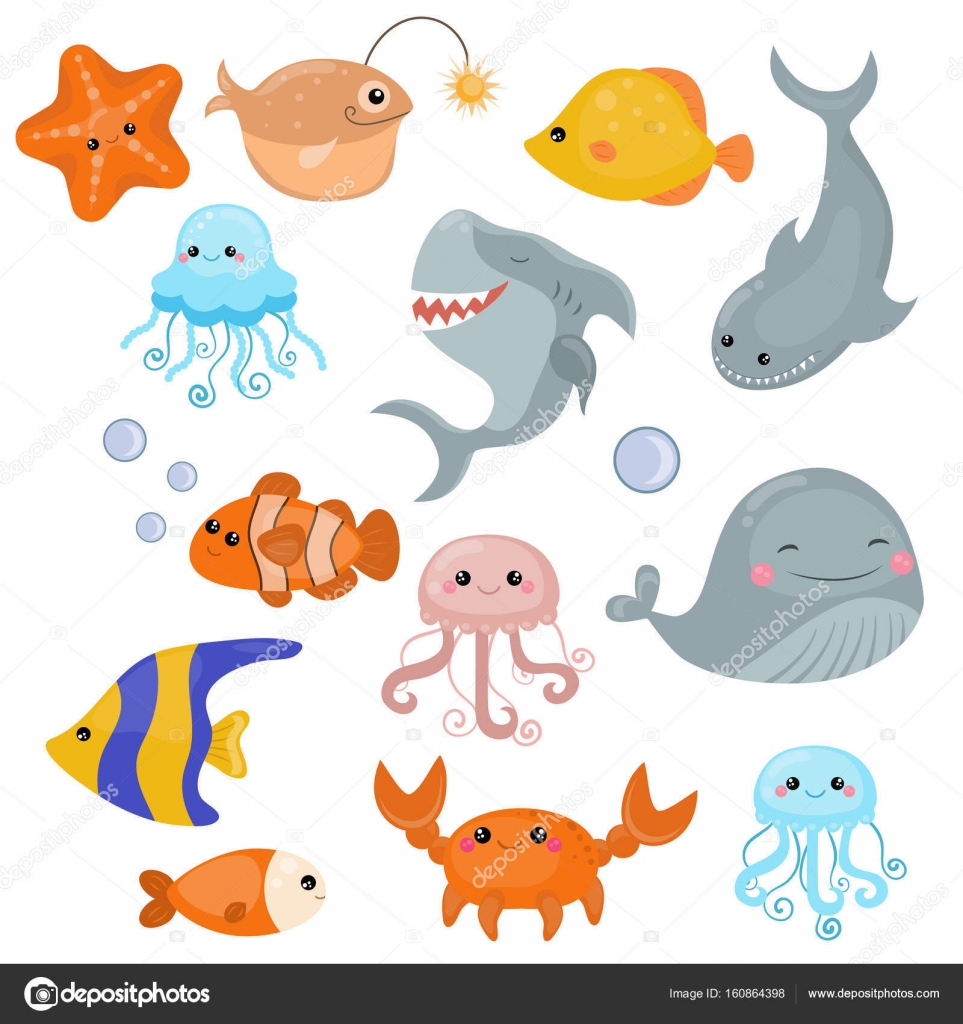 海の動物 イラスト海の動物 イラスト 無料イラスト素材画像