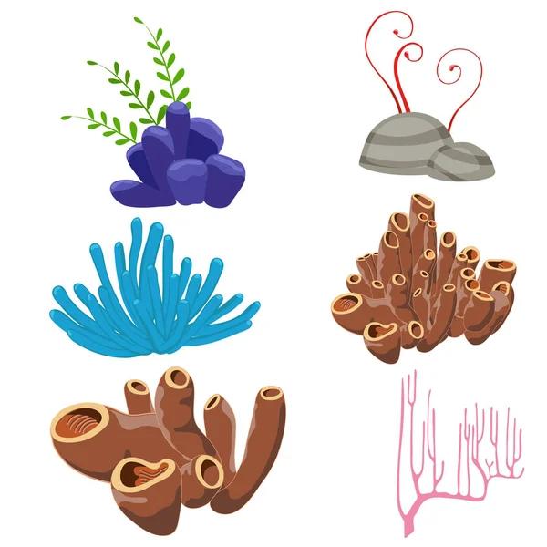 Underwater flora and fauna. — Stock Vector