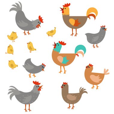Sevimli tavuk kümesi