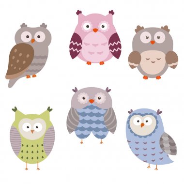 sevimli baykuşlar kümesi.