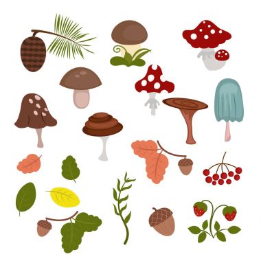 Orman hayvanları seti.