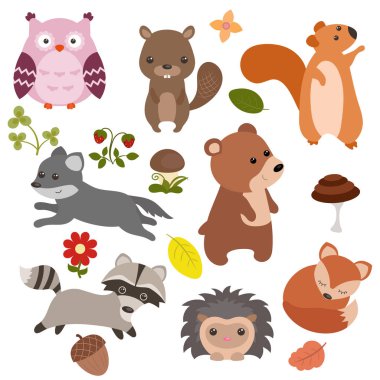 Orman hayvanları seti.