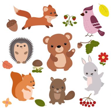 Orman hayvanları seti.