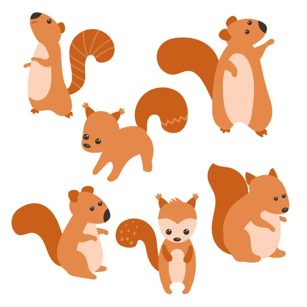 Set of cute squirrels — Stock Vector