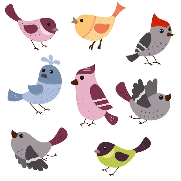 Set di simpatici uccelli — Vettoriale Stock