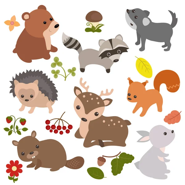Forest animals set. — Stock Vector