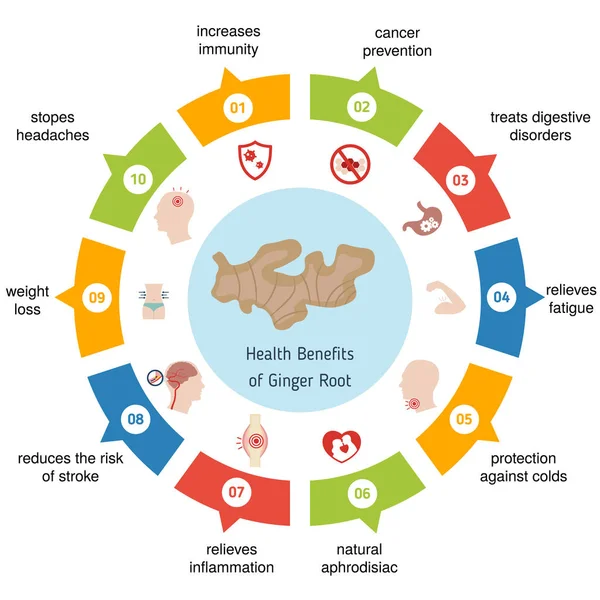 Foods infographics. Ginger root. — Stock Vector