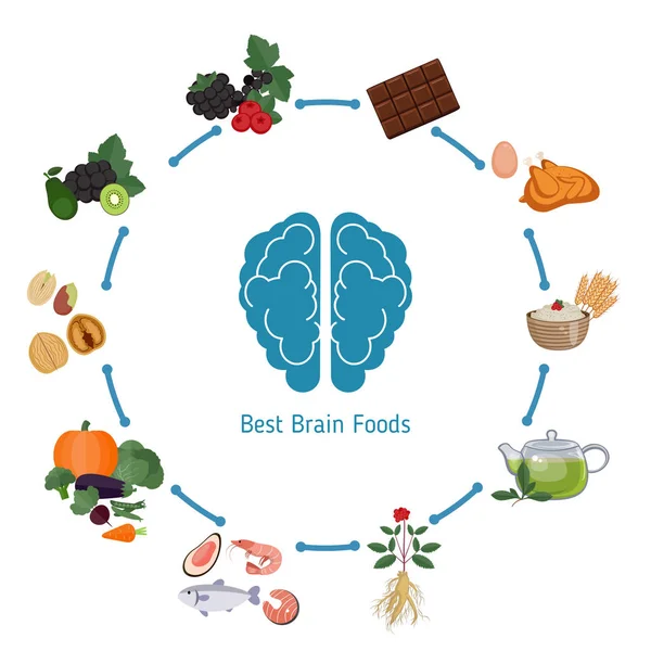 Gehirn-Lebensmittel-Infografik — Stockvektor