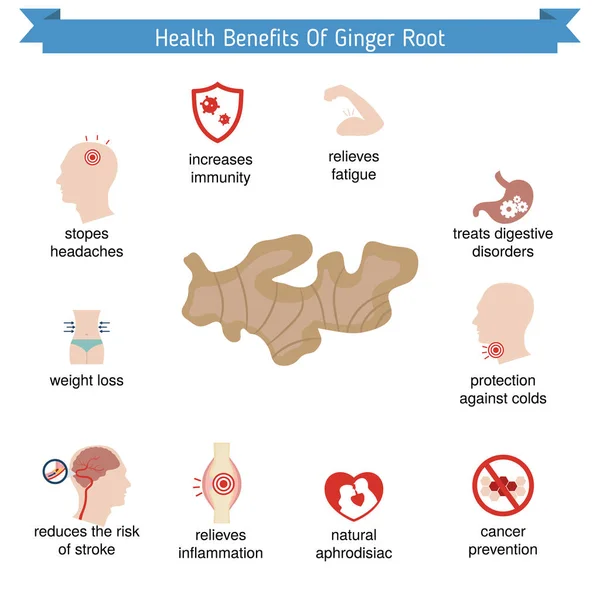 Livsmedel infographics. Ginger root. — Stock vektor