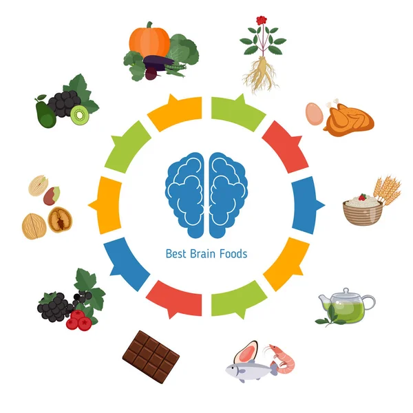 Gehirn-Lebensmittel-Infografik — Stockvektor