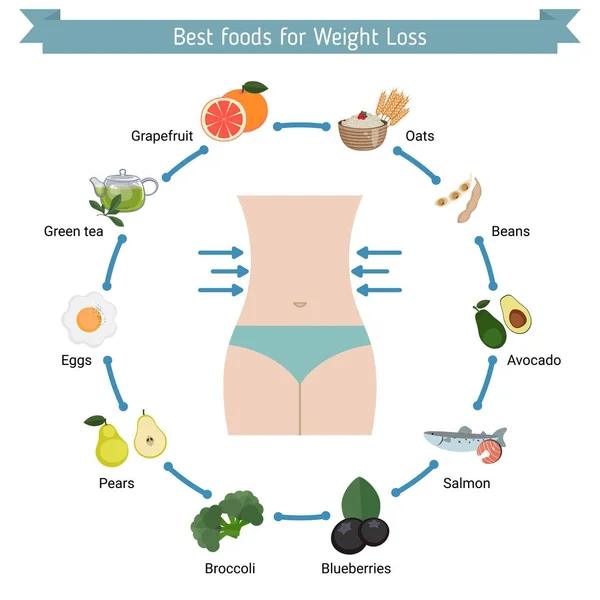 Los mejores alimentos para la pérdida de peso . — Archivo Imágenes Vectoriales