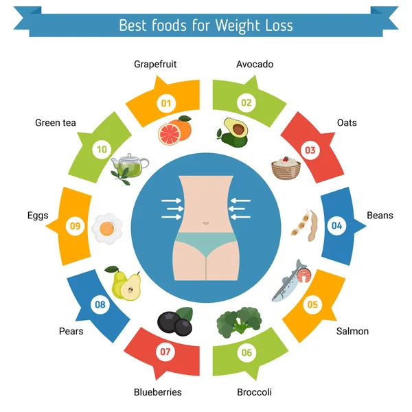 Meilleurs aliments pour perdre du poids . — Image vectorielle