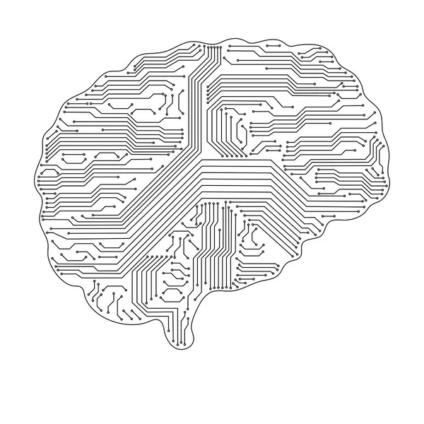 Canto del cerebro . — Vector de stock