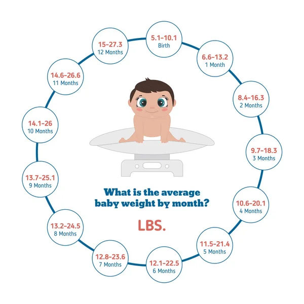 Ortalama Bebek Kilosu — Stok Vektör