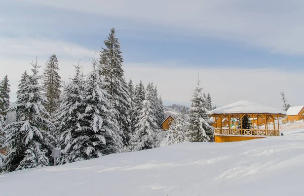 Wysokie jodły pokryte śniegiem i Mały Domek drewniany. Zima Krajobraz do jazdy dziennej. — Zdjęcie stockowe