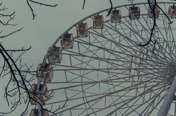 Evening view to ferris wheel surrounded by tree bushes — Stock Photo, Image