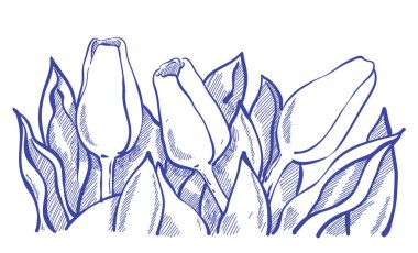 Romantik vektör Lale kompozisyon