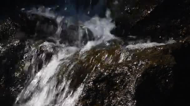 Proudu vodopádu rychlé vody nad skalní kameny — Stock video