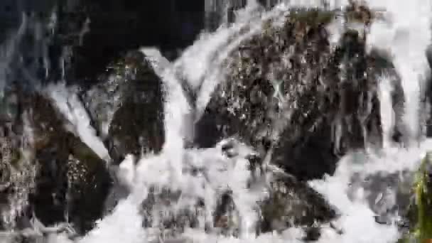 Stroom van de waterval van snelle water over rotsachtige stenen — Stockvideo