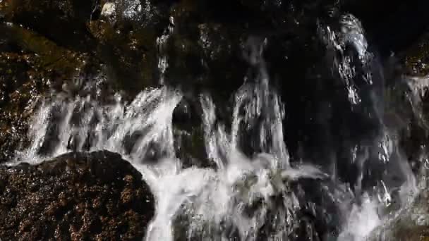 瀑布流的快速水对岩石的石头 — 图库视频影像