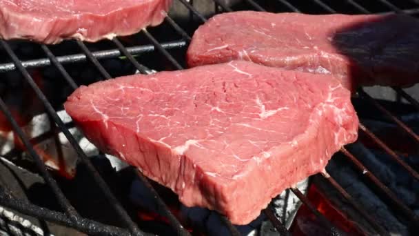 원시 쇠고기 스테이크 바베 큐 그릴에서 요리 — 비디오