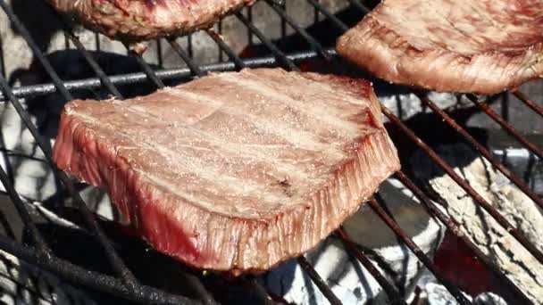 Grilled beef steaks cooking on barbecue grill — Stock Video