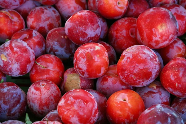 Ameixas vermelhas frescas no mercado de varejo exibir de perto — Fotografia de Stock