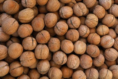 Nutshells bütün ceviz yakın çekim