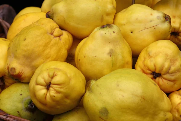 Cultura fresca de frutos de marmelo maduros amarelos close-up — Fotografia de Stock