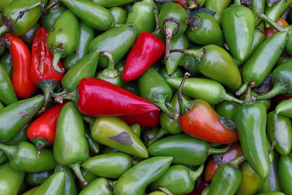 Chile jalapeño verde picante de cerca — Foto de Stock