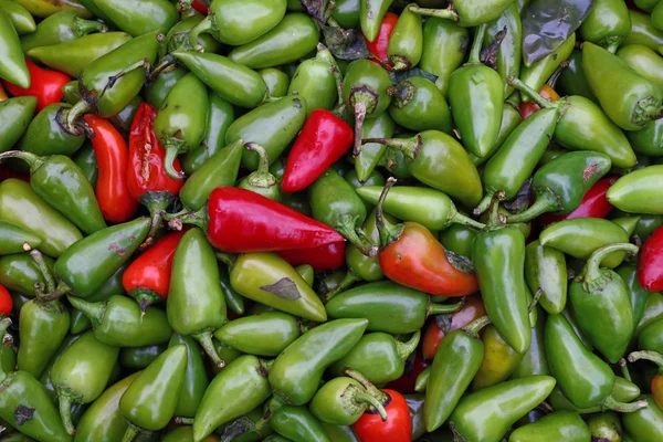 Chile jalapeño verde picante de cerca — Foto de Stock