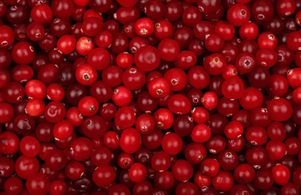 Fresh red ripe cranberries background top view — Stock Photo, Image
