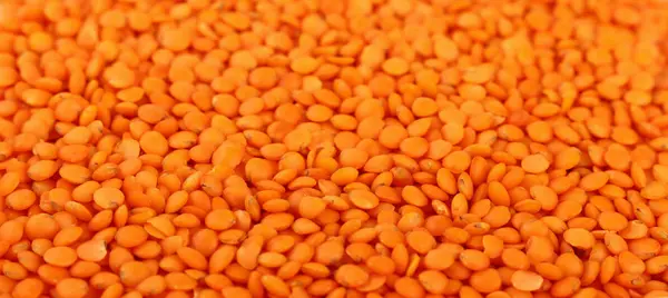 Lente de lentilha laranja fechar o fundo — Fotografia de Stock