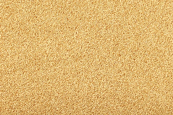 Amaranth grain seeds close up background — Stock Photo, Image