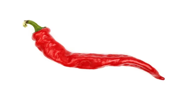 Red hot chili pepper zblízka, izolované na bílém — Stock fotografie