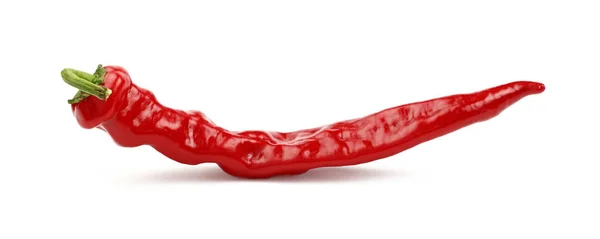 Rote scharfe Chilischote in Nahaufnahme isoliert auf weißem Hintergrund — Stockfoto