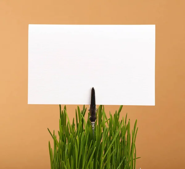 Primavera grama verde e sinal de papel branco sobre marrom — Fotografia de Stock