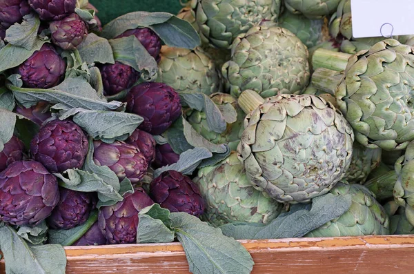 Green and purple fresh globe artichokes — Stock Photo, Image