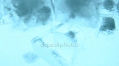 Açık buz küpleri float mavi su yakın çekim