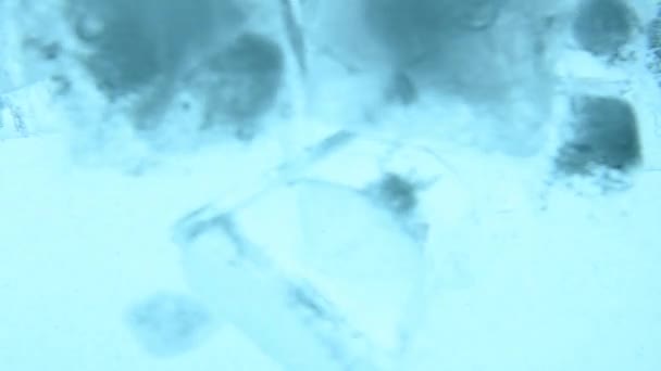 Чистые кубики льда плавают в голубой воде вблизи — стоковое видео
