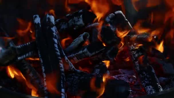 Llamarada de hoguera llama de fuego de leña agujas en la chimenea — Vídeo de stock