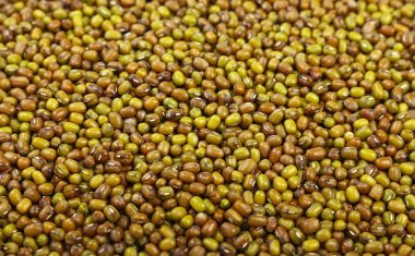 Yeşil mung fasulye arka kapatmak